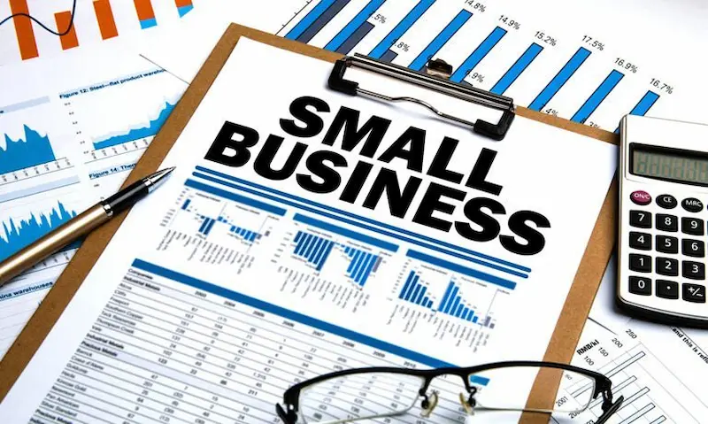 what are small business insights